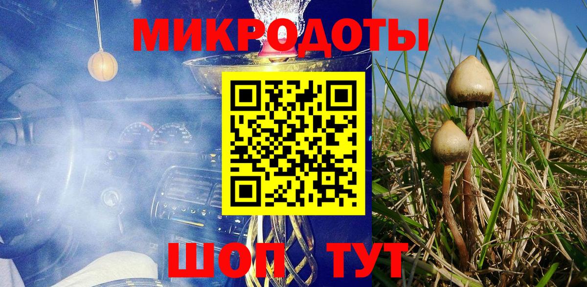 Псилоцибиновые грибы прущие грибы Сухой Лог
